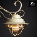 Потолочная люстра Arte Lamp 6 A4579PL-8WG 2 - Ваш магазин