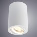 Потолочный светильник Arte Lamp A1560PL-1WH 1 - Ваш магазин