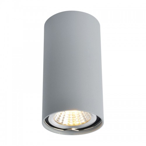 Потолочный светильник Arte Lamp A1516PL-1GY - купить в нашем магазине