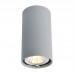 Потолочный светильник Arte Lamp A1516PL-1GY