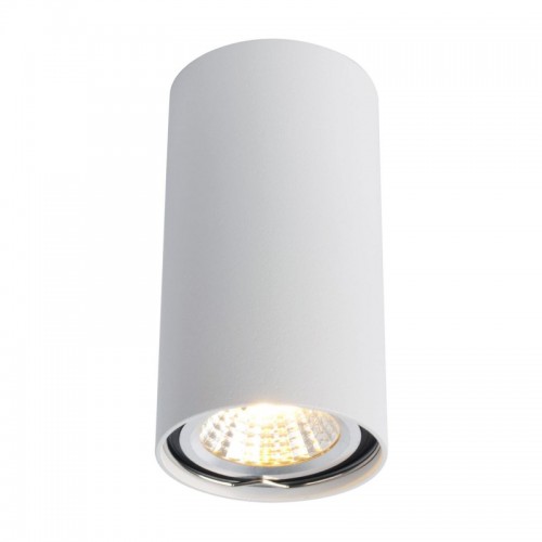 Потолочный светильник Arte Lamp A1516PL-1WH - купить в нашем магазине