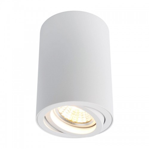 Потолочный светильник Arte Lamp A1560PL-1WH - купить в нашем магазине