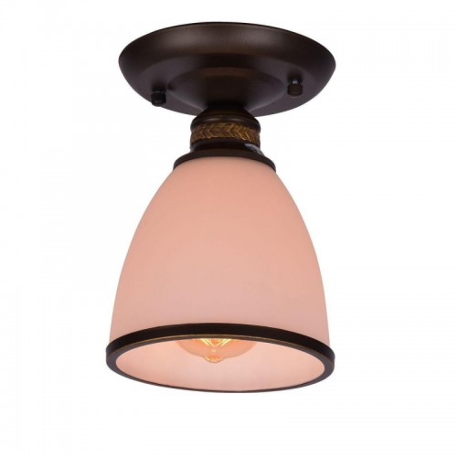 Потолочный светильник Arte Lamp Bonito A9518PL-1BA - купить в нашем магазине