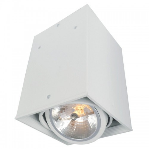 Потолочный светильник Arte Lamp Cardani A5936PL-1WH - купить в нашем магазине