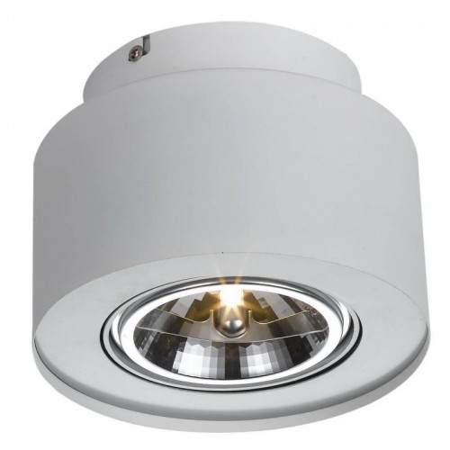 Потолочный светильник Arte Lamp Cliff A5643PL-1WH - купить в нашем магазине