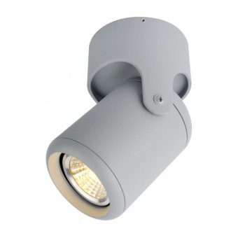 Спот Arte Lamp A3316PL-1GY