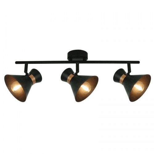 Спот Arte Lamp Baltimore A1406PL-3BK - купить в нашем магазине