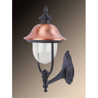 Уличный настенный светильник Arte Lamp Barcelona A1481AL-1BK